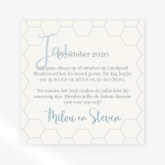 La Carte Trouwcollectie - Save the date zilverblauw