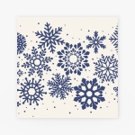 La Carte Trouwcollectie - Trouwkaart winter blauw save the date kaart